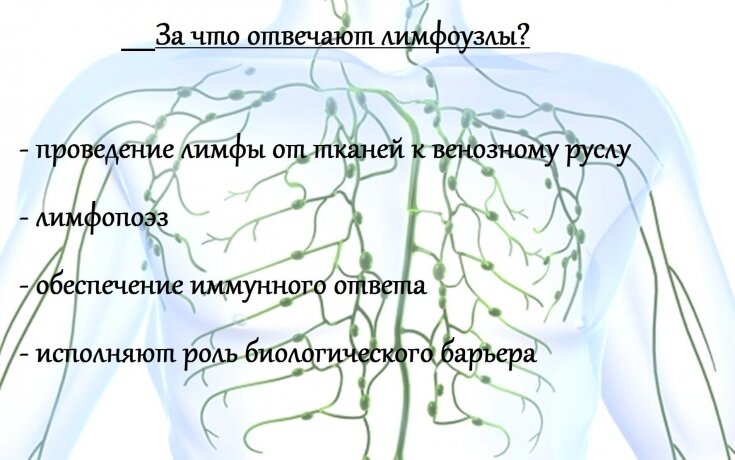 Воспалился лимфоузел за ухом