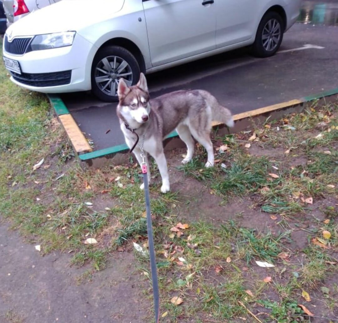фото из архива хозяина