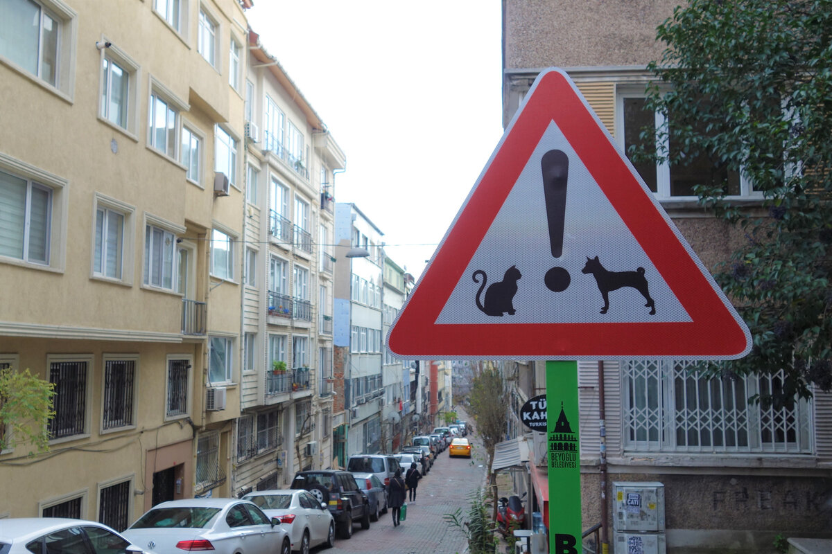 Дорожный знак "Кошки против собак"