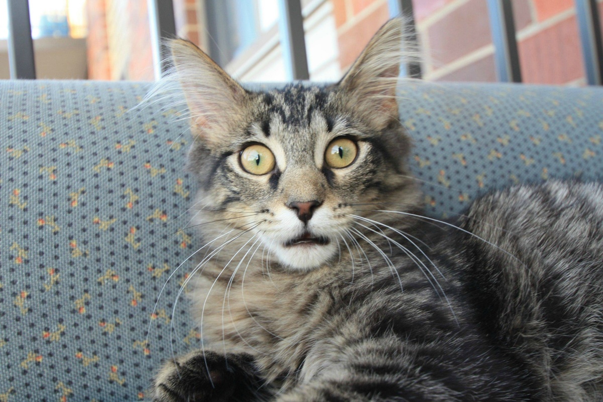 Источник: Яндекс картинки