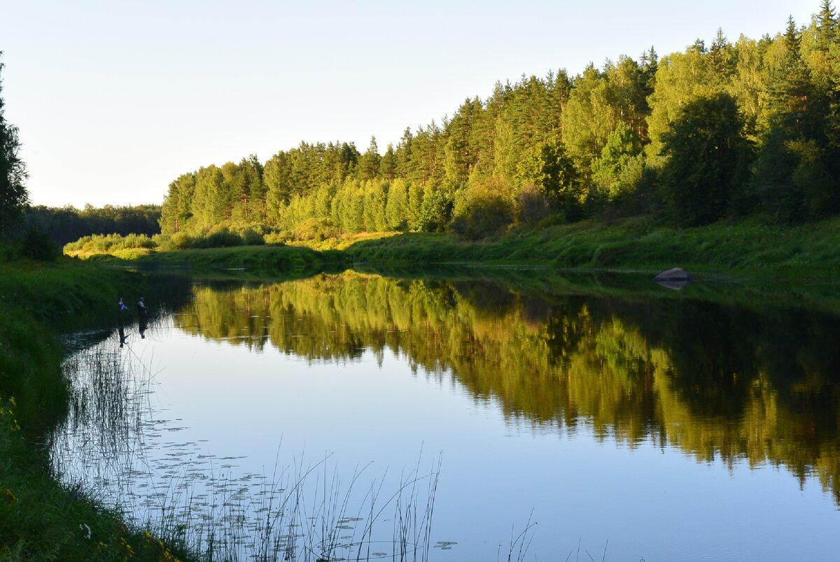 Река Молога