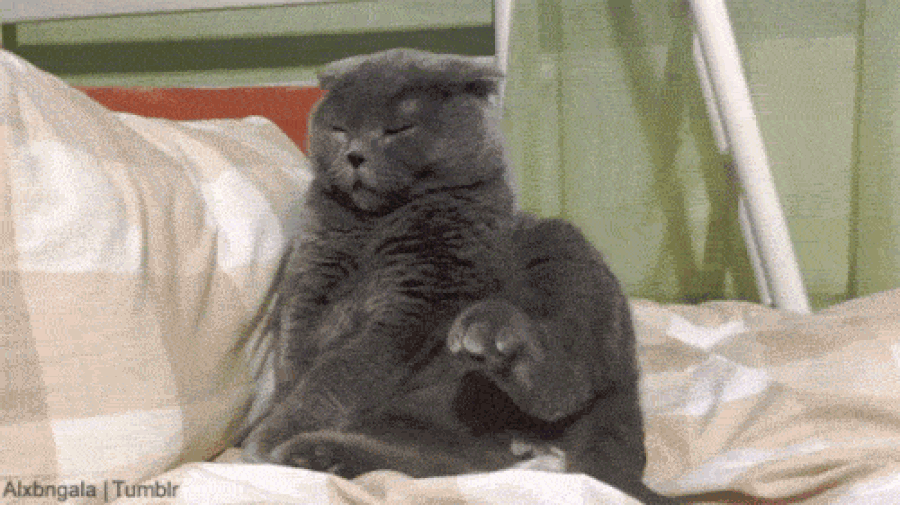 картинка с сайта: amp.onedio.com