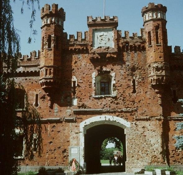 Фото Игоря Зотина и Владимира Межевича / Фотохроника ТАСС