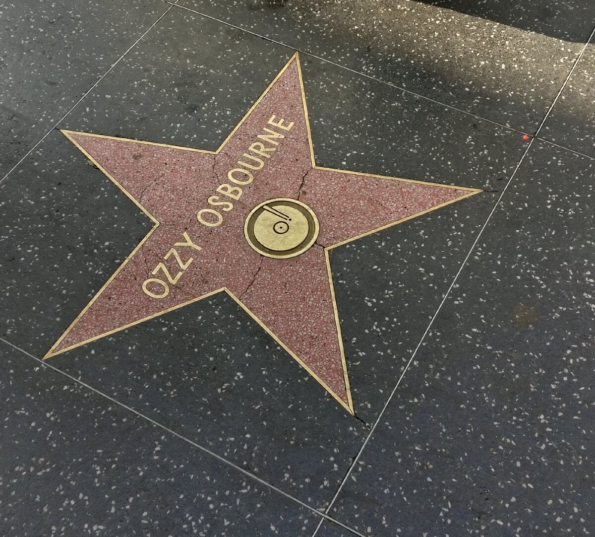 Hollywood star 2