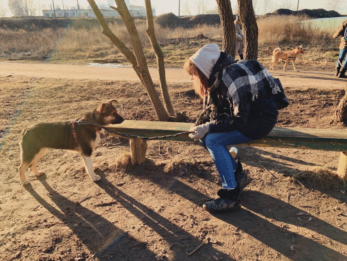 Сью и волонтер Юля