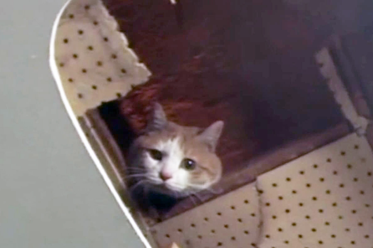 Вот и наш герой