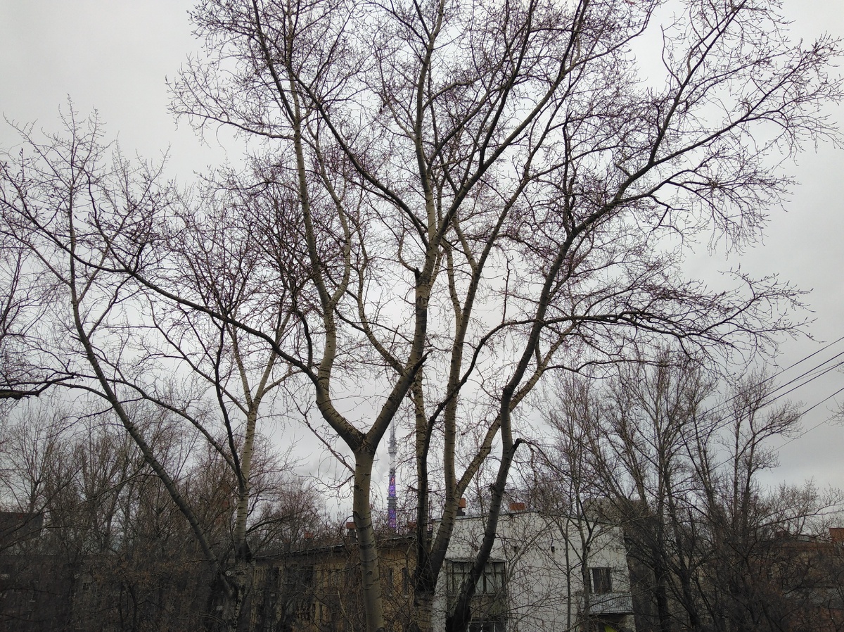 19.02.20, Москва, 10:13