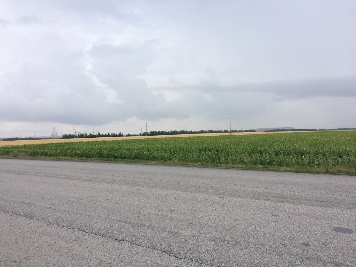 Вид с перекрестка у ж.д переезда на шахту п.Зверево и териконы. Фото автора