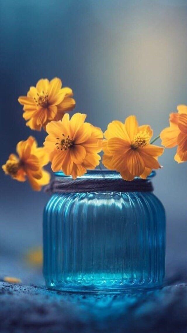 С просторов интернета