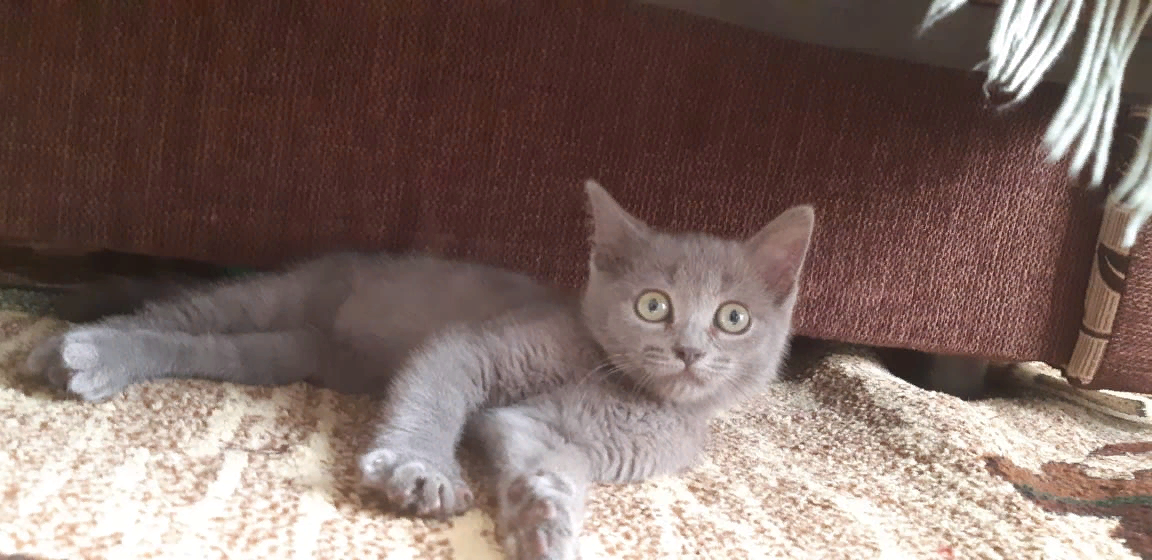 Фото из личного архива