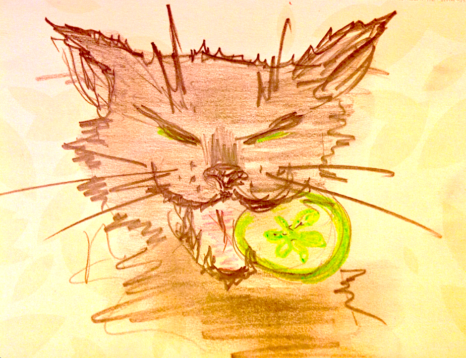 Зигмунд, зацени!