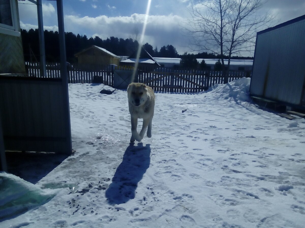 Жорик бежит ко мне навстречу