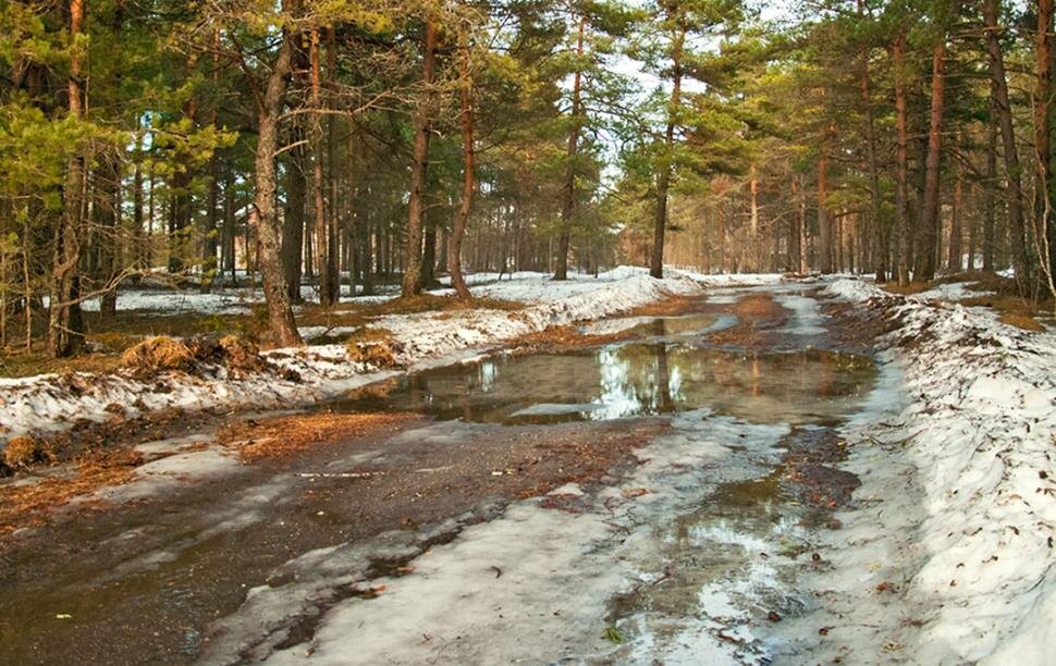 Фото – stihi.ru