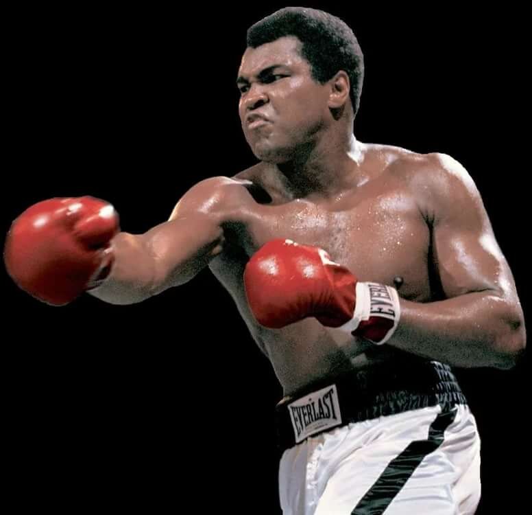 Муха́ммед Али́- американский боксёр-профессионал, выступавший в тяжёлой весовой категории; один из самых известных боксёров в истории мирового бокса