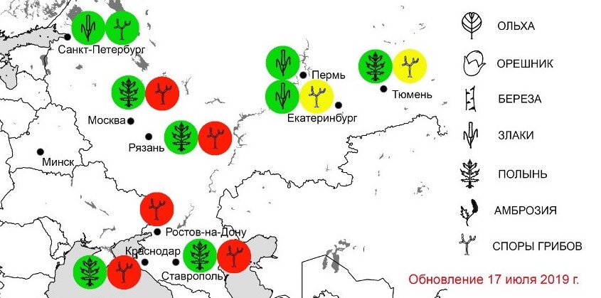 Карта пыльцы москва