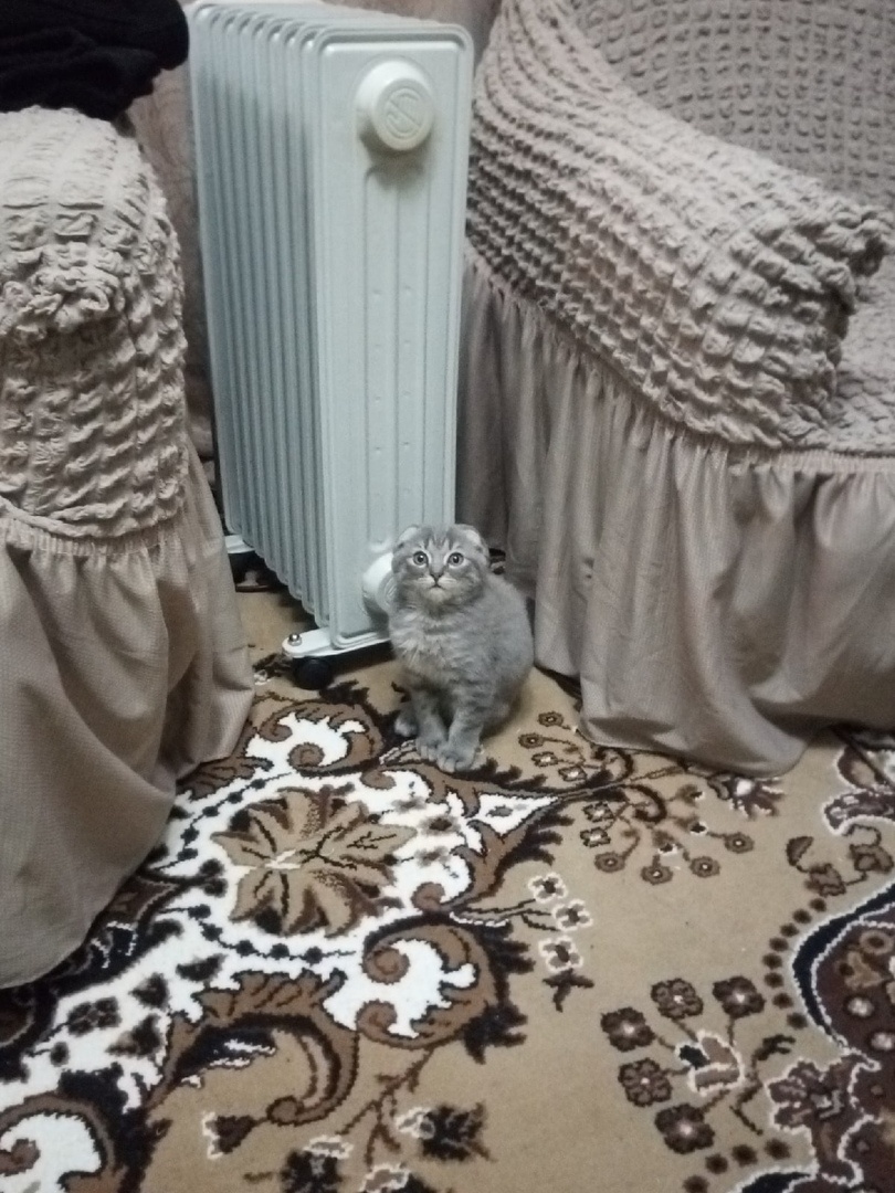 Это мы играем