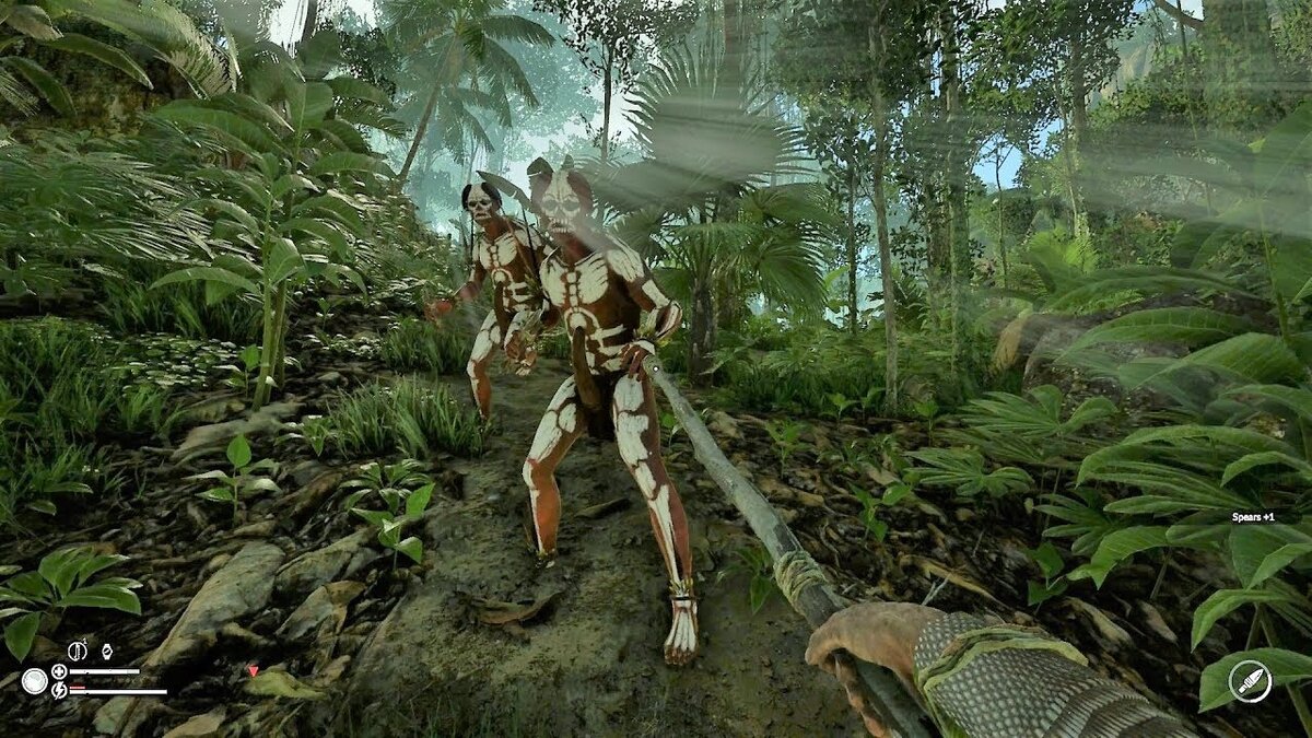 Драка с аборигеном. Фото с ЯК