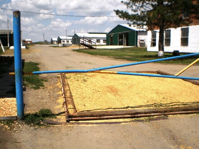 Дезбарьер для автотранспорта. Дезбарьер для животноводческих комплексов. Дезинфицирующие барьеры. Дезинфекционный барьер для автотранспорта. Барьер+ дезинфицирующее средство.