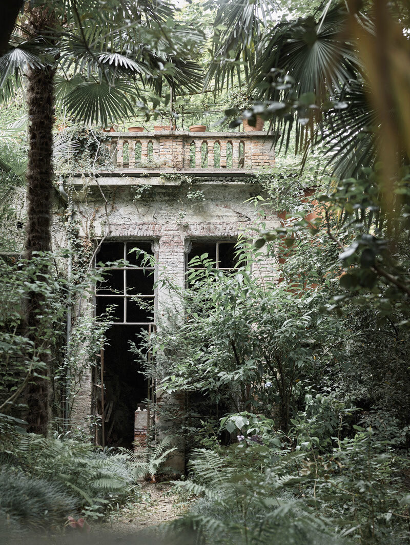 Фрагмент сада у виллы Камуцци.