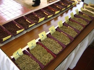 Поговорим о сортах кофе