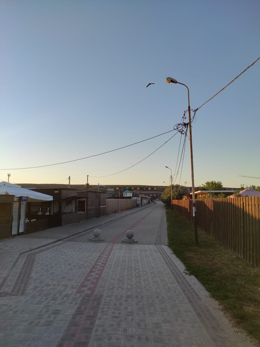 фото автора июнь 2020 год