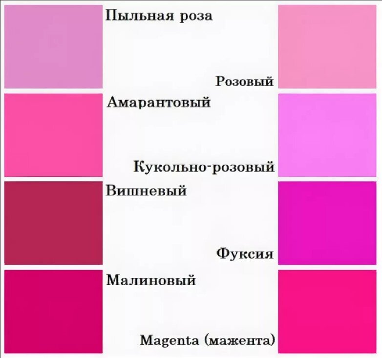 Цветы розового цвета названия и фото Название розовых цветов