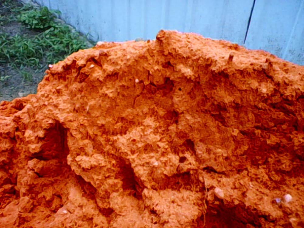 Глина душит маленькие ростки