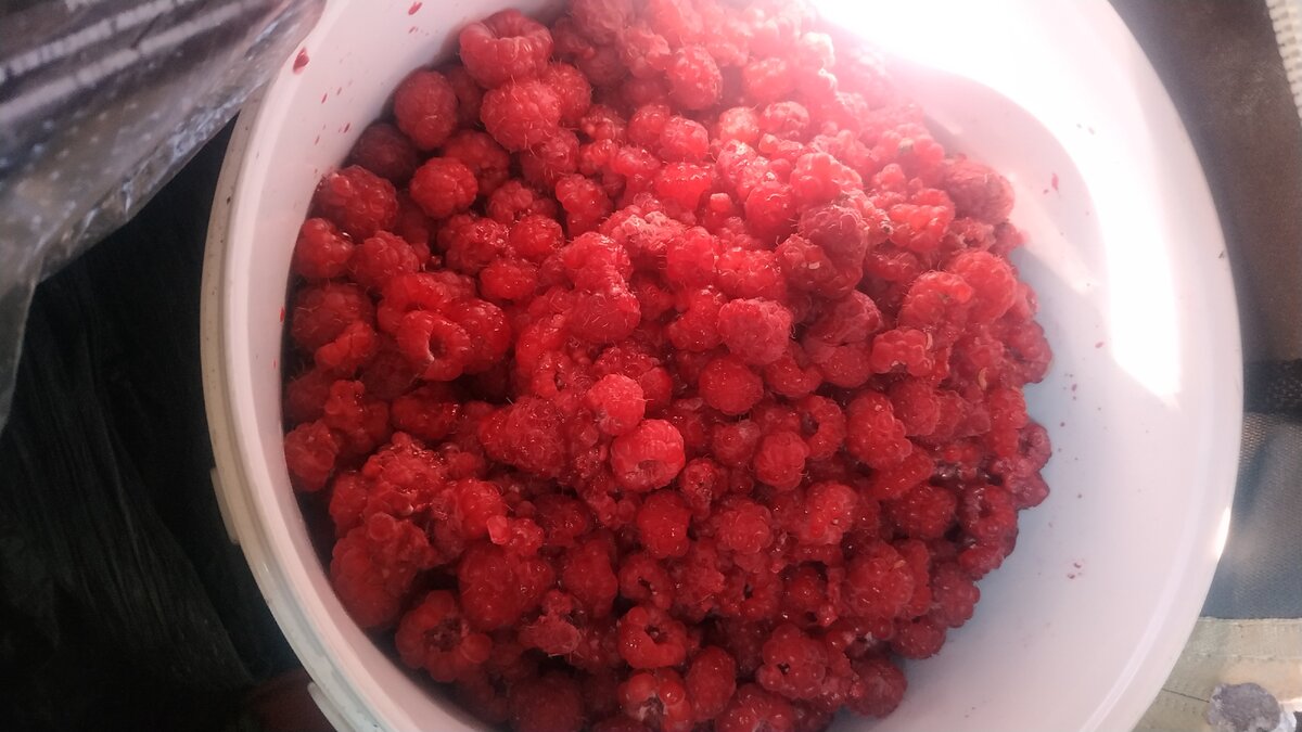 Малинка с огорода