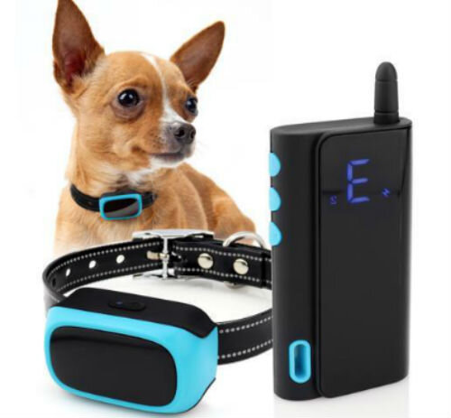 Советы по выбору ошейника