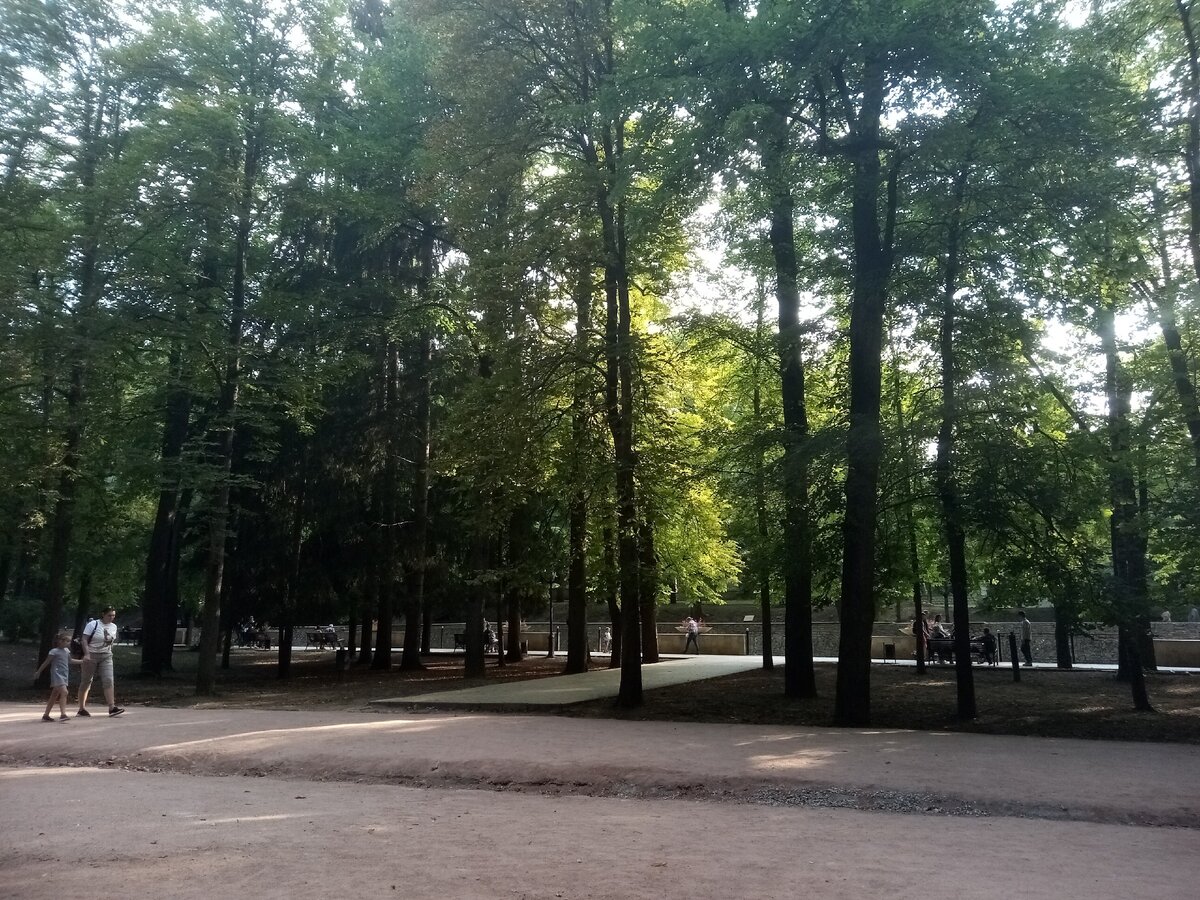 Высокие деревья парка вдоль речки Ольховки