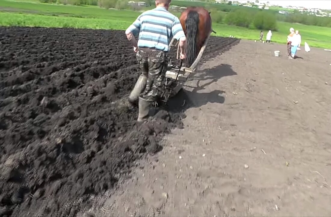 Фото сделано в 2019 г