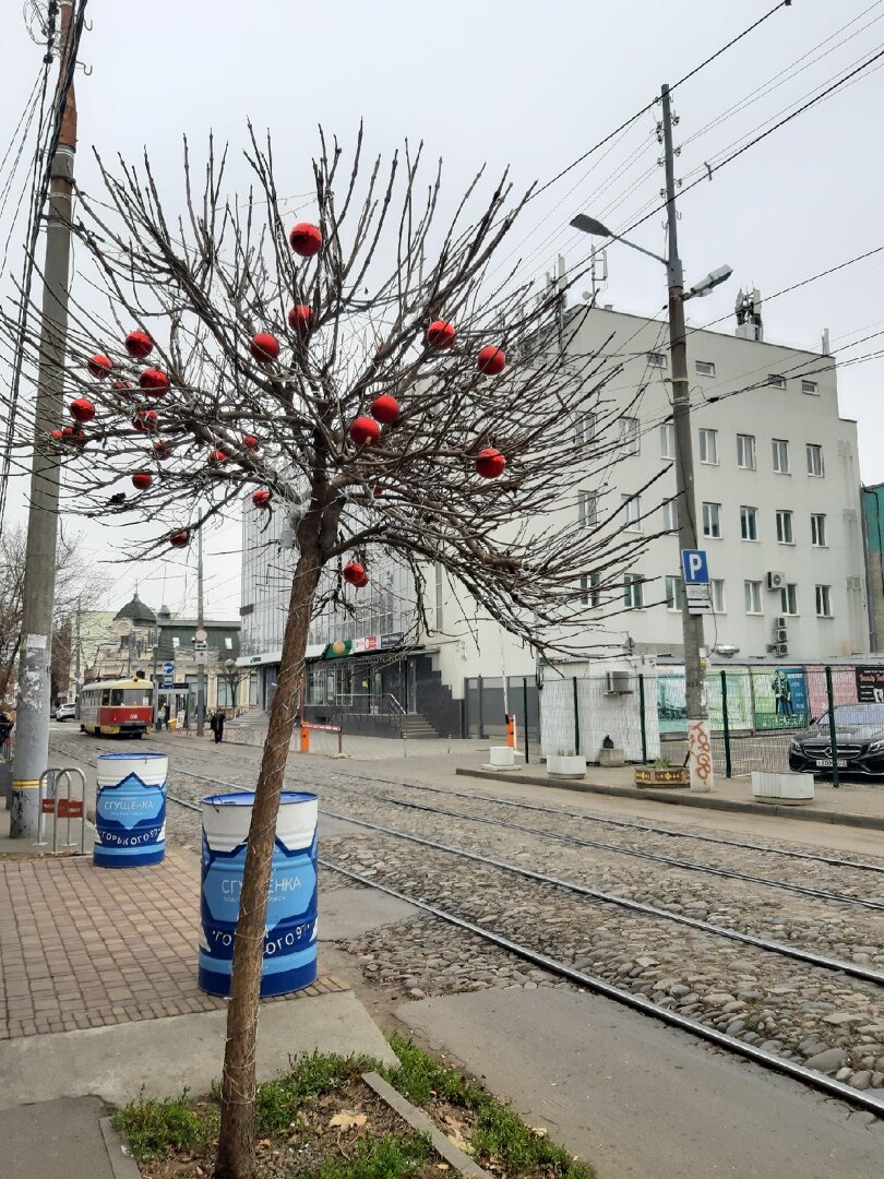 Уютный центр Краснодара, прекрасного города в любую погоду. 