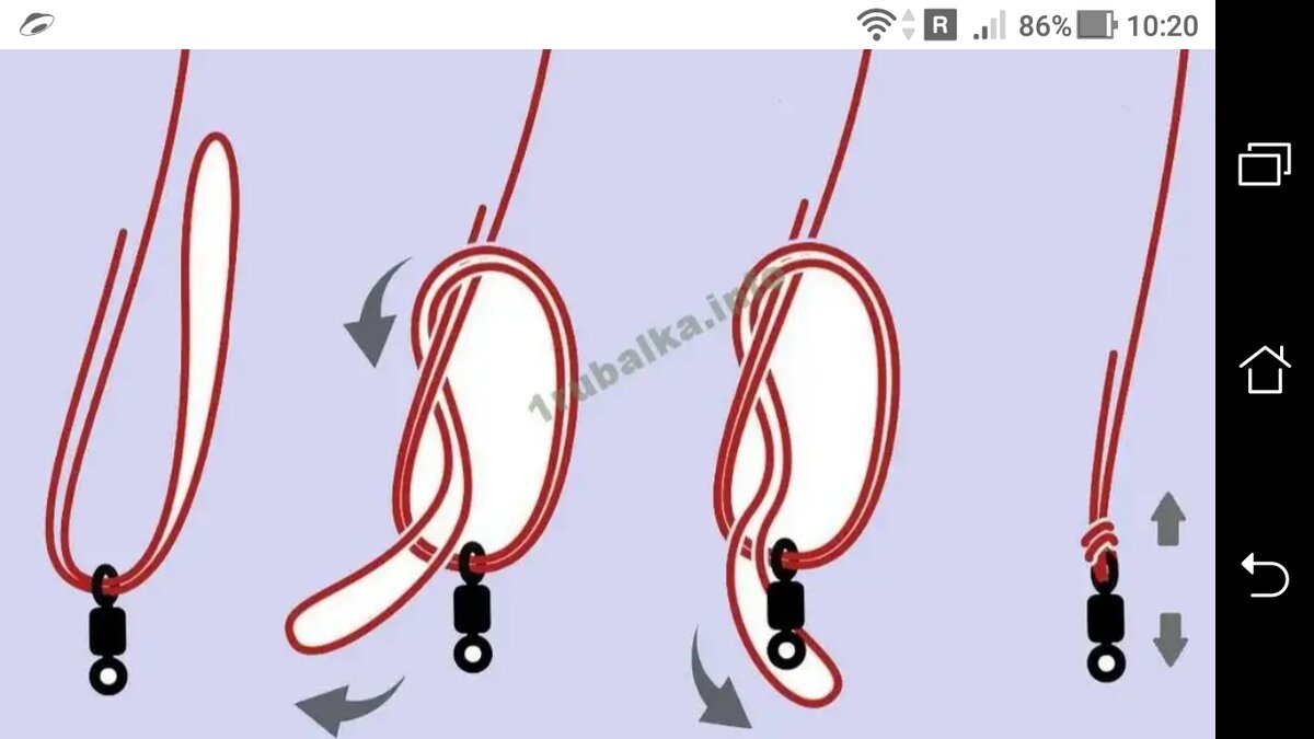 Как правильно завязать узелок. Узел двойной Паломар. Рыболовный узел Паломар. Узел Паломар для крючка. Узел Паломар схема.