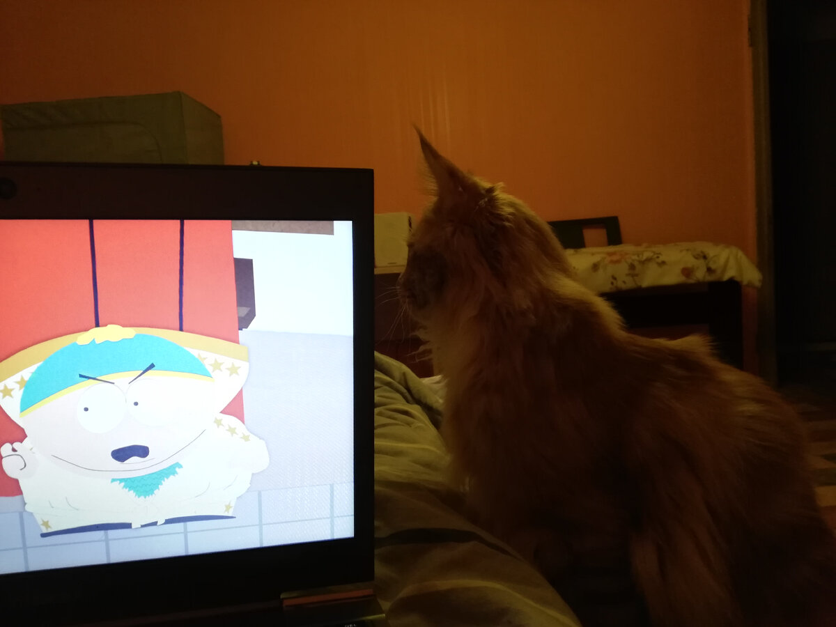 Совместные вечера