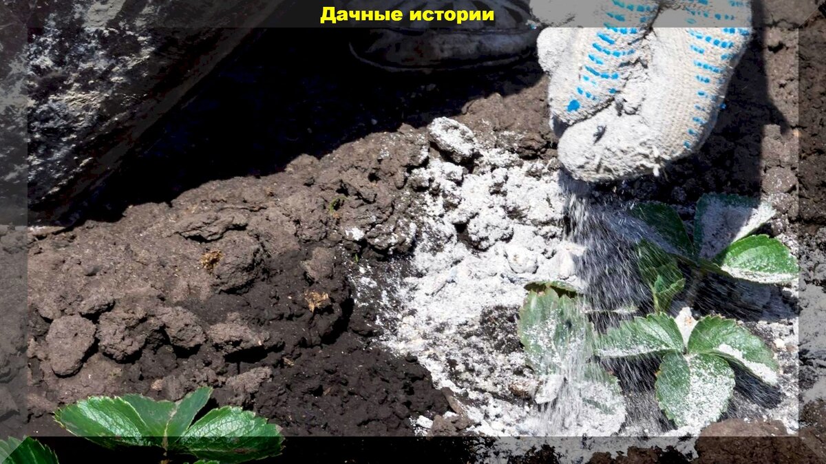 https://vk.com/photo-159774511_457248483