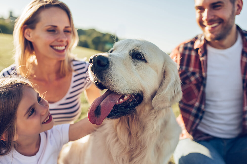 Источник фото - сайт:https://clck.ru/akfGE