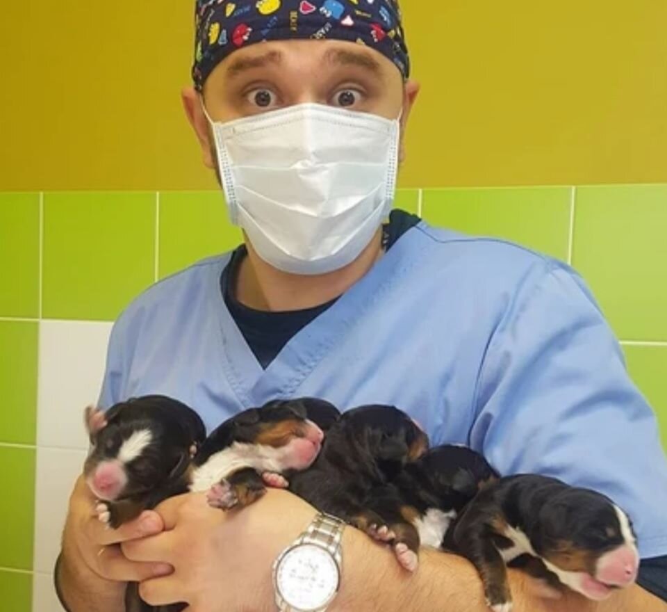 Врач изображает удивленного папашу, увидевшего своих новорождённых малышей – почему так много???