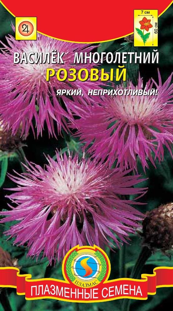 Купила вот эти семена у нас, на Красноармейском, около Гулливера.