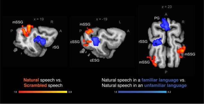 Изображение sciencedirect.com