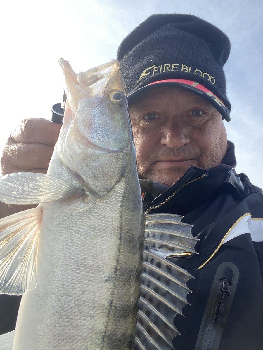 Середина МАРТА! СУДАК ЖРЕТ МАНДУЛУ!!!