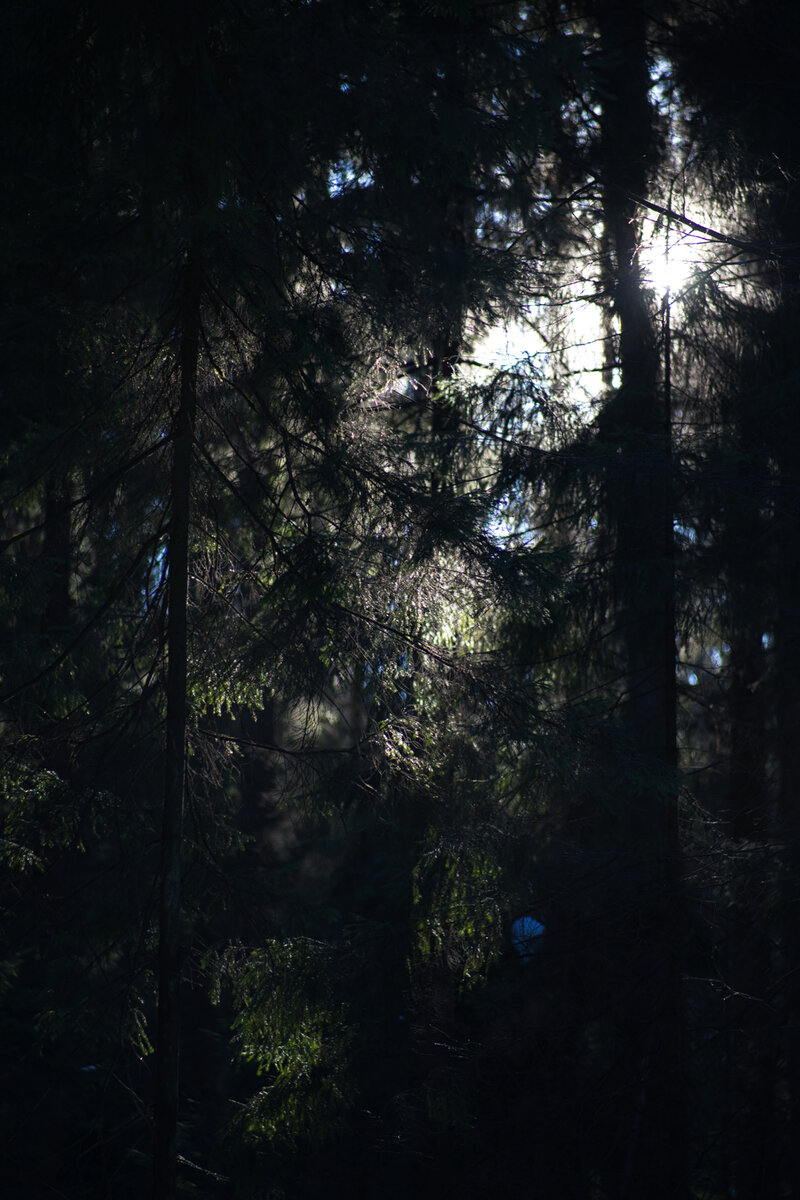 Это фото без обработки