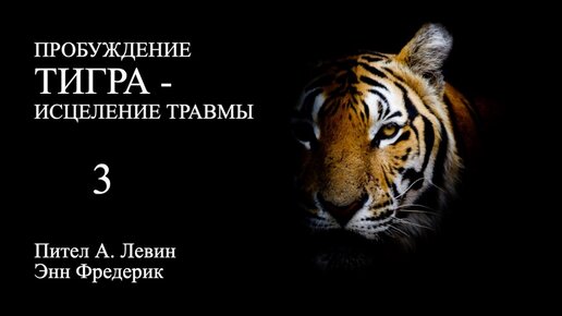 Пробуждение ТИГРА - исцеление травмы. Раны, которые могут исцелять #3 / Аудиокнига Питер А. Левин