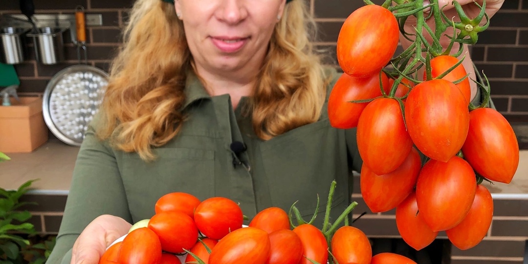 ТОМАТЫ ДЛЯ РАННЕГО УРОЖАЯ