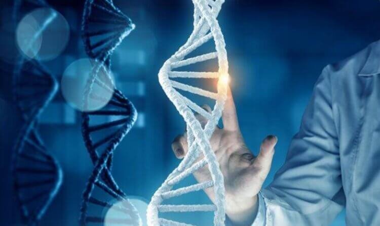 Возможно, генная инженерия позволит людям возродить исчезнувших животных