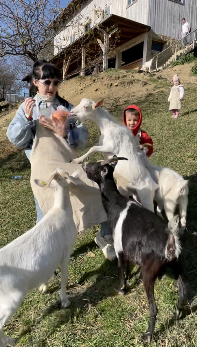 А где брать качественную молочку в Уфе? завести козу? 🐐😁 наша бабушка нам это и предложила. Сначала я даже почти согласилась! Думаю, какой же разнообразный контент с её участием получится 😂 но шутки шутками, а козьего дилера, как оказалось, днем с огнём не сыщешь 😬 но у мужа получилось 😍 он нашёл просто супер вариант : в эко посёлке Чишмы есть чудо фермер, который теперь наш "козий дилер" 🐐😁 каждое утро мамасиков теперь начинается с козьего йогурта, сыра и молочка 😍🥛