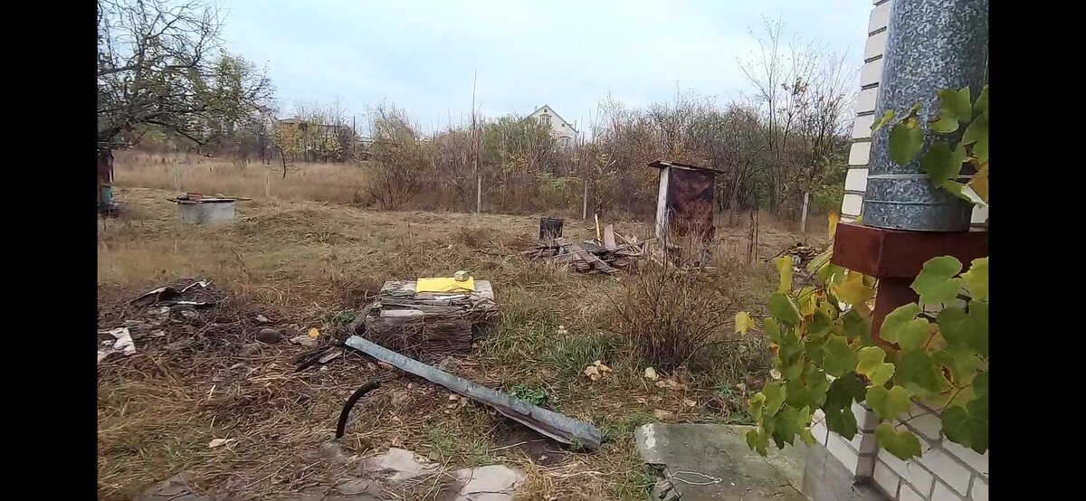 Вы бы влюбились? Вот и я не смогла
