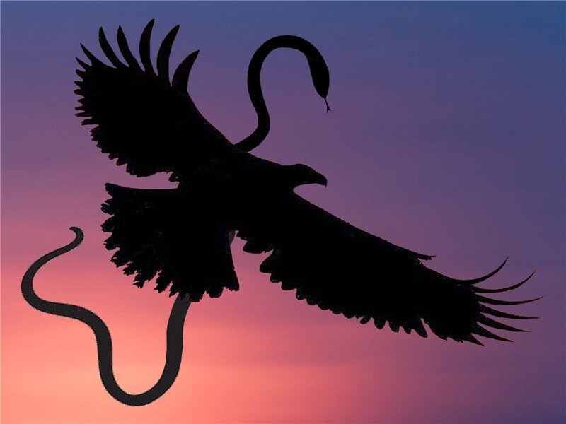 — Фотоколлаж «Орёл и Змея — друзья Заратустры», Щербакова Дарья Павловна, 10. 07. 2014