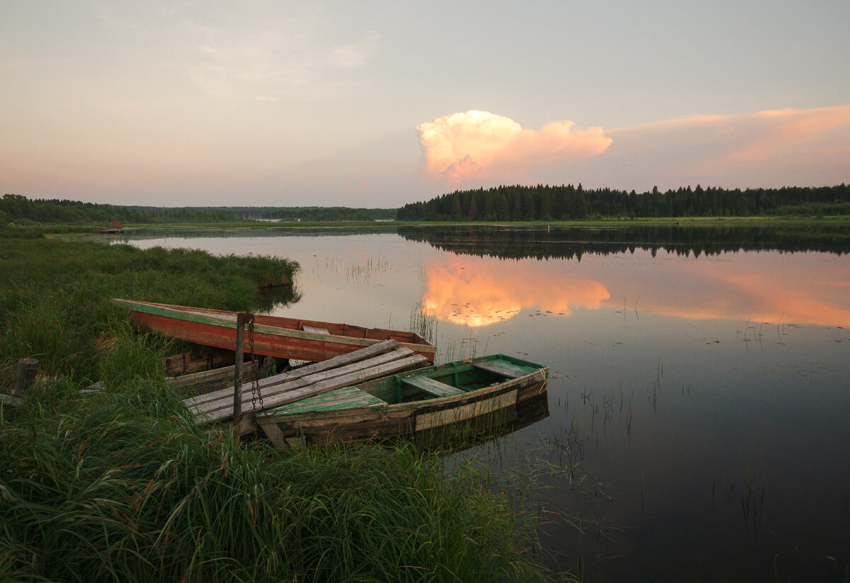 Жизнь в гармонии с природой | Люблю жизнь и фотографирую | Дзен