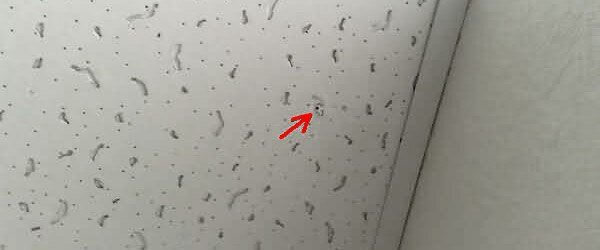 Камера скрытого видеонаблюдения.