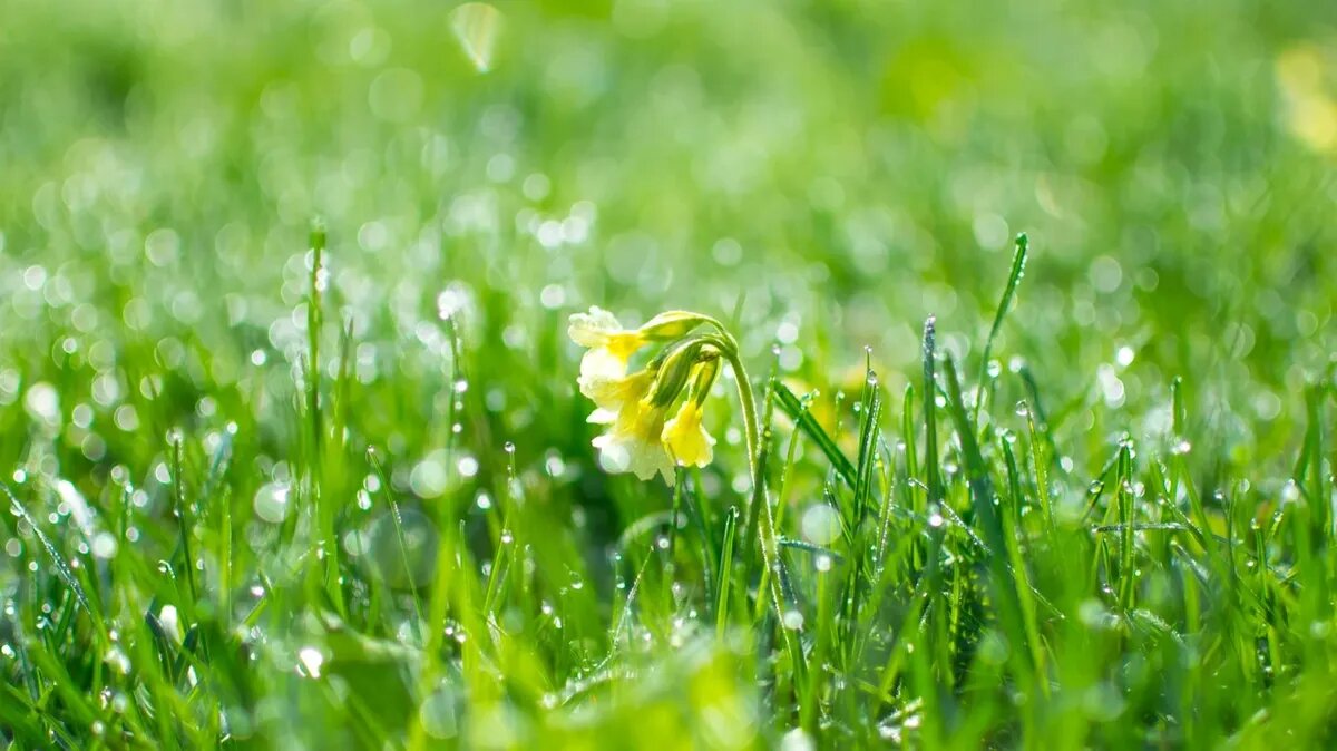 В некоторые церковные праздники работа категорически запрещена. Фото: Pexels.com